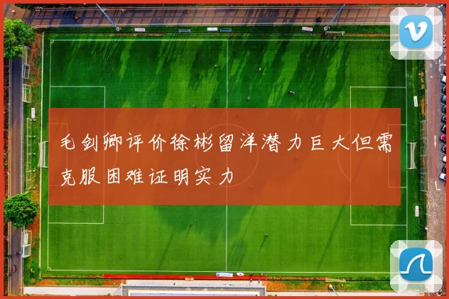 毛剑卿评价徐彬留洋潜力巨大但需克服困难证明实力