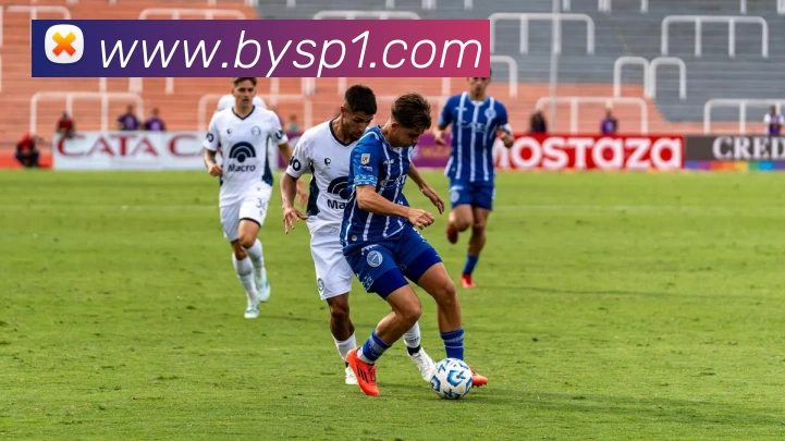 博鱼体育平台生态图