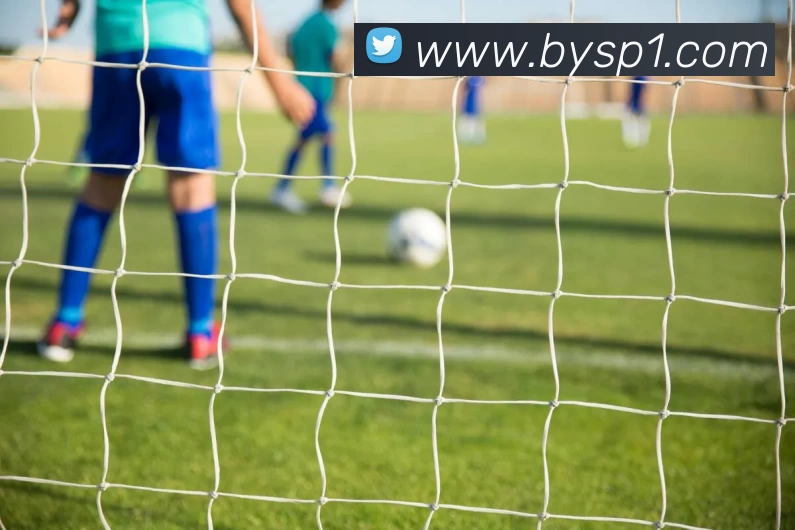 博鱼体育全站App